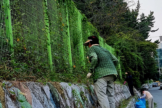 20240908_174828.jpg