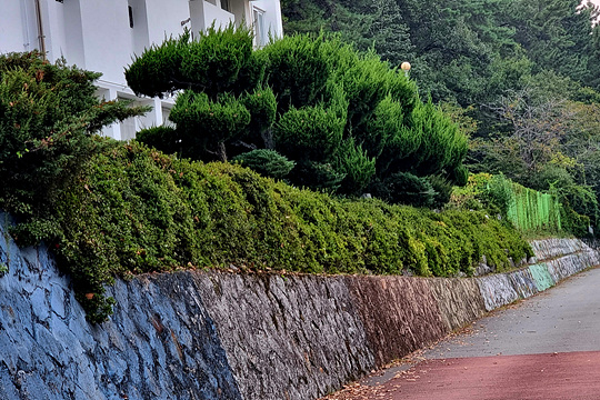 20240908_181528.jpg